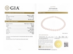 10.0-10.88mm Japanese Akoya White Pearl Necklace - GIA Certified - Secondary Image