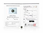 10mm Tahitian South Sea Peacock Pearl - PSL Certified
