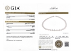 8-10mm White South Sea Pearl Necklace - GIA Certified - Third Image