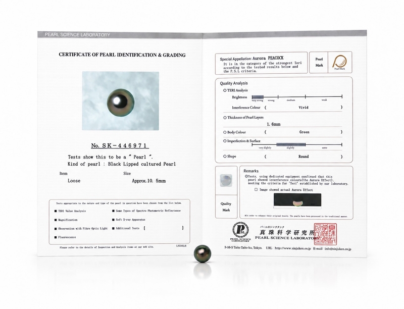 10mm Tahitian South Sea Peacock Pearl - PSL Certified