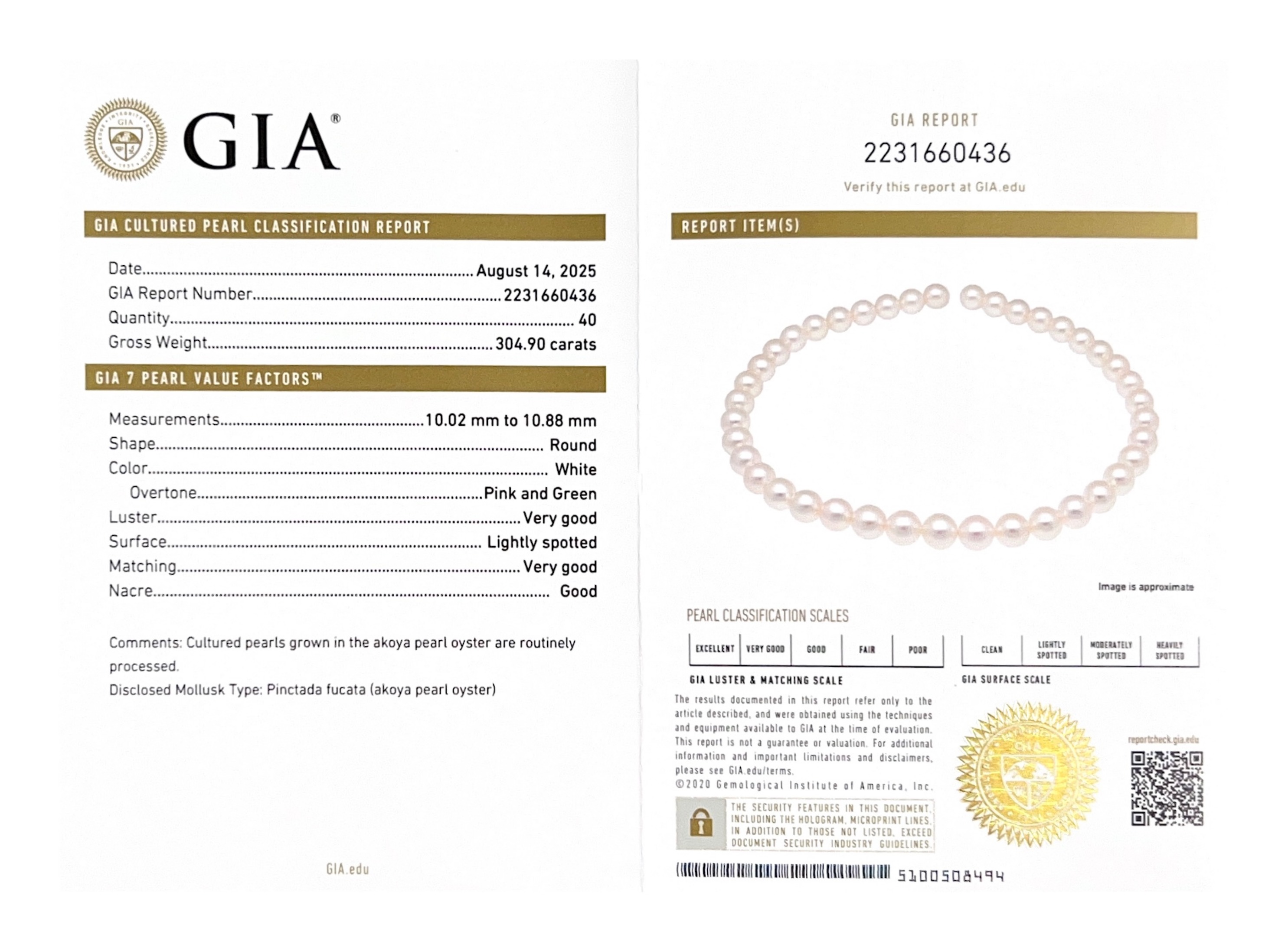 10.0-10.88mm Japanese Akoya White Pearl Necklace - GIA Certified