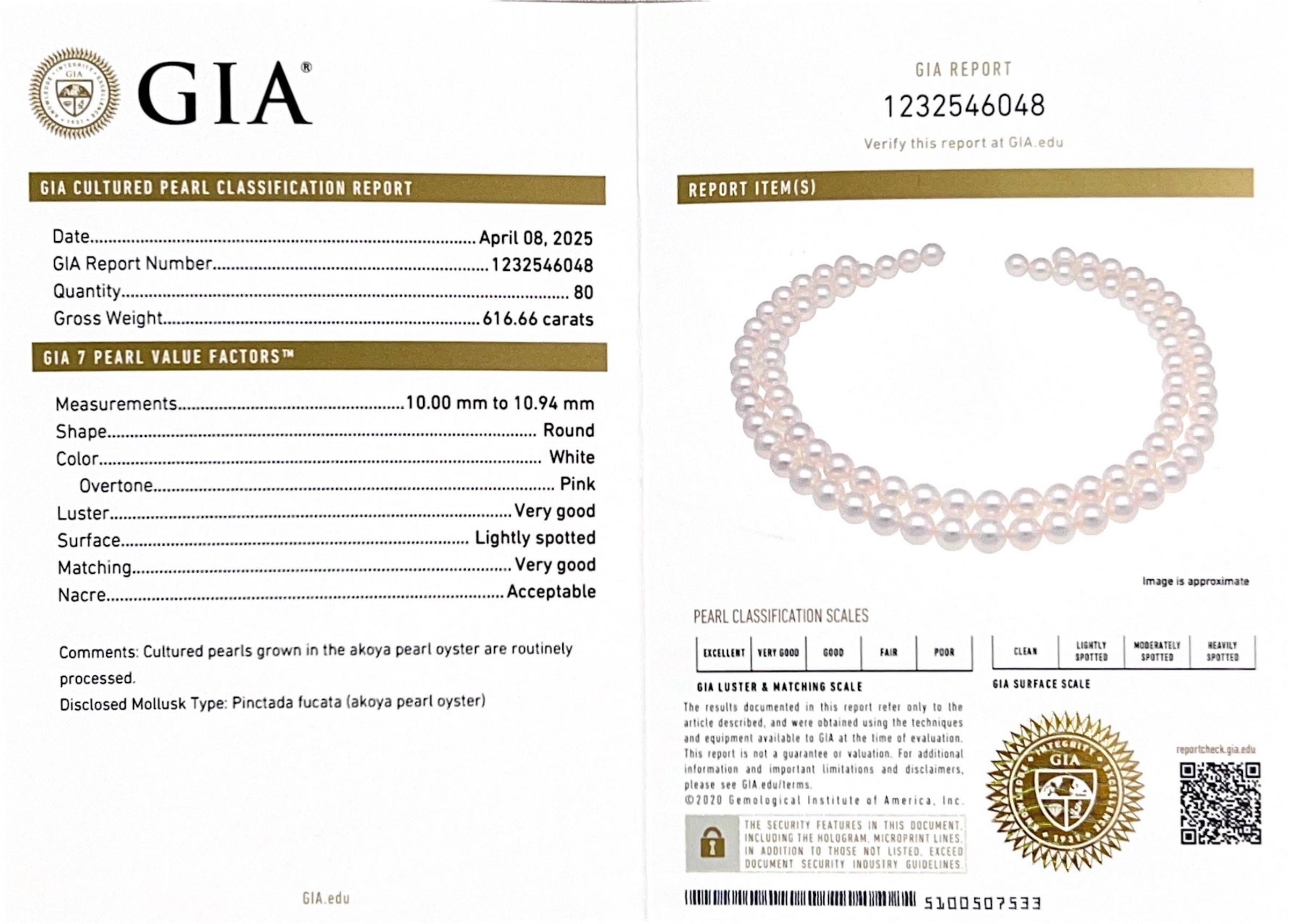 Opera Length 10.0-10.9mm Akoya White Pearl Necklace - GIA Certified