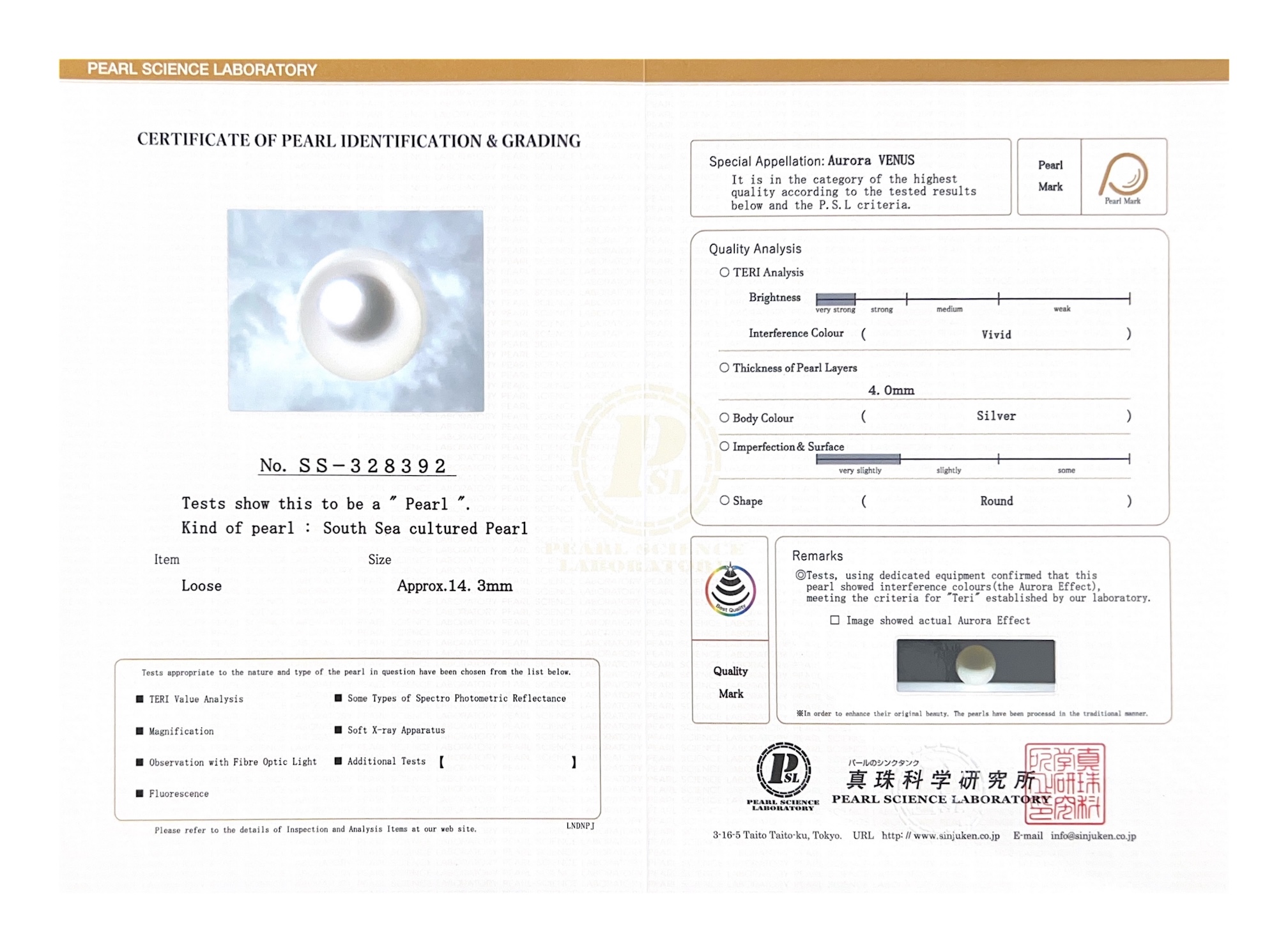 14mm White South Sea Loose Pearl - PSL Certified - Model Image