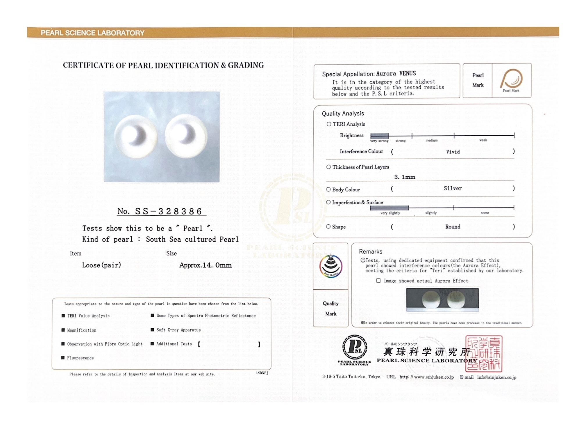 14mm Aurora Venus White South Sea Loose Pair - Model Image