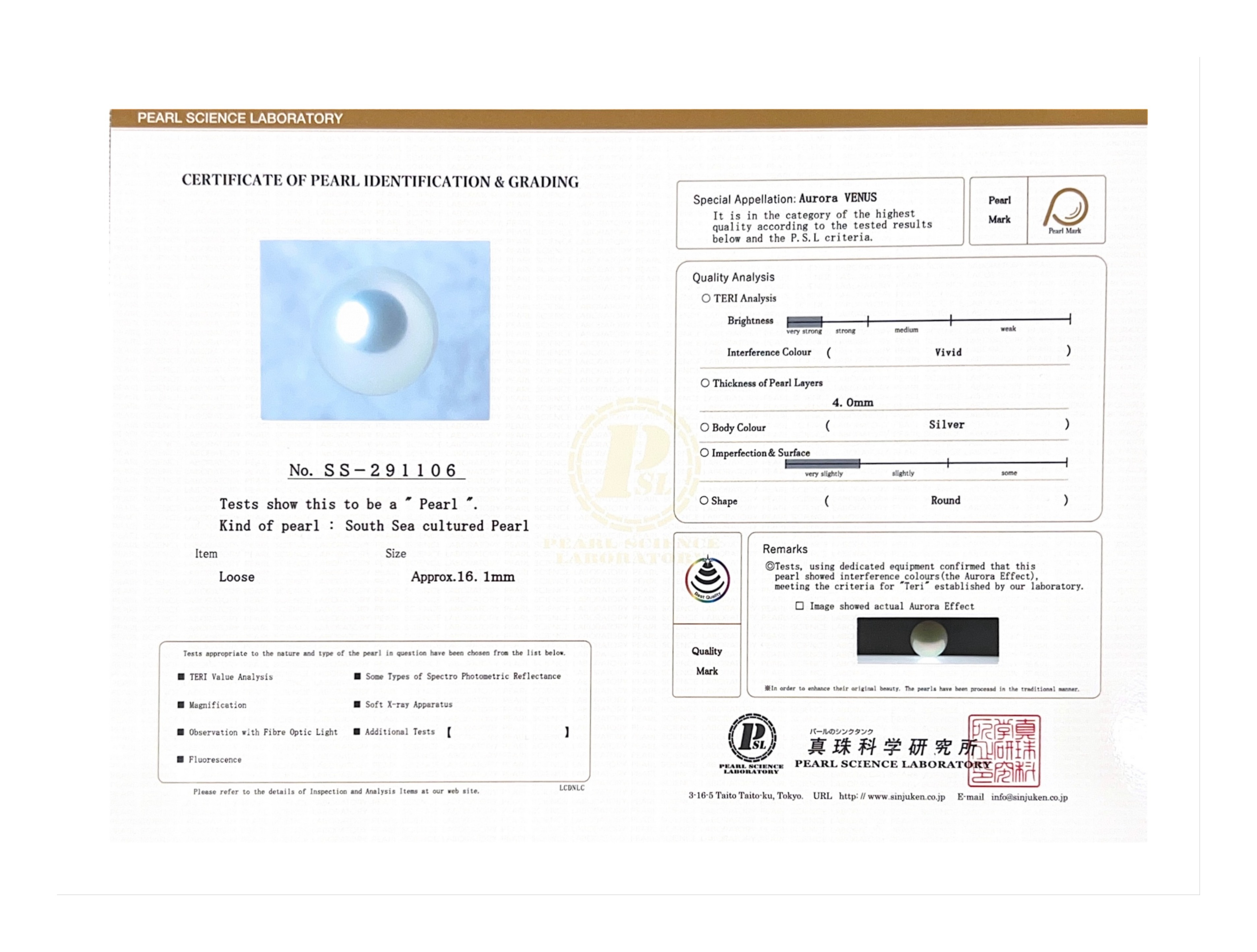 16.1mm White South Sea Loose Pearl - PSL Certified